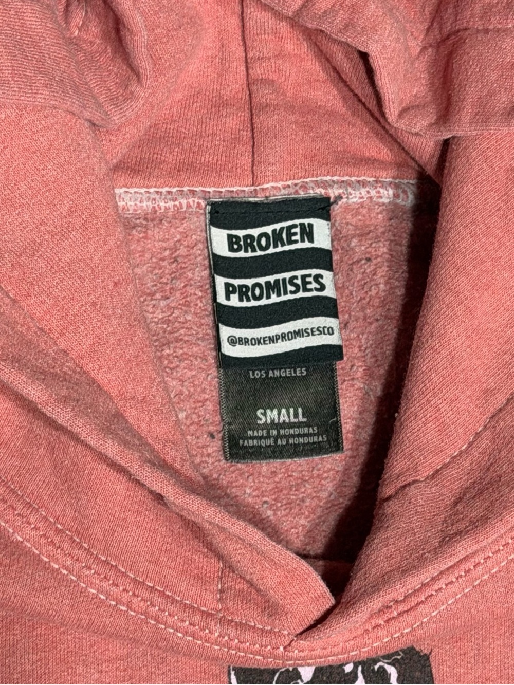 Men's Broken Promises Hoodie with Rose Graphic - Dusty Rose - Picture 7 of 8